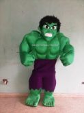 Fantasia Incrivel Hulk de luxo
